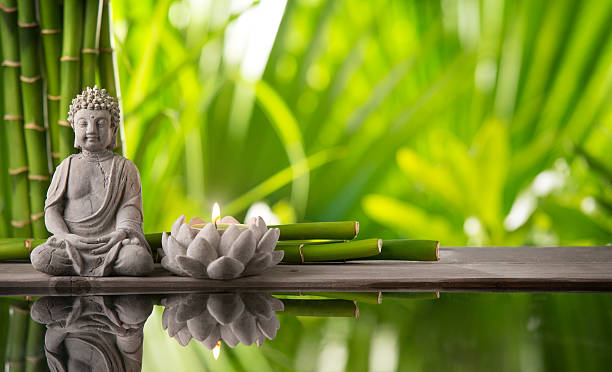 I lived like a Buddhist monk for 10 days.